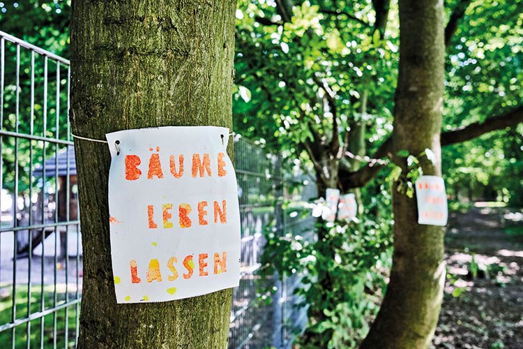 Foto: Thomas Schäkel / Stadtrevue »Informationen vorenthalten«: Bedrohte Bäume im Grüngürtel