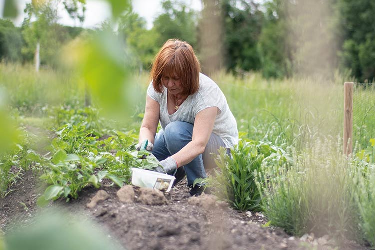 Foto: Jennifer Rumbach / Stadtrevue Keine Chance den Kartoffelkäfern
