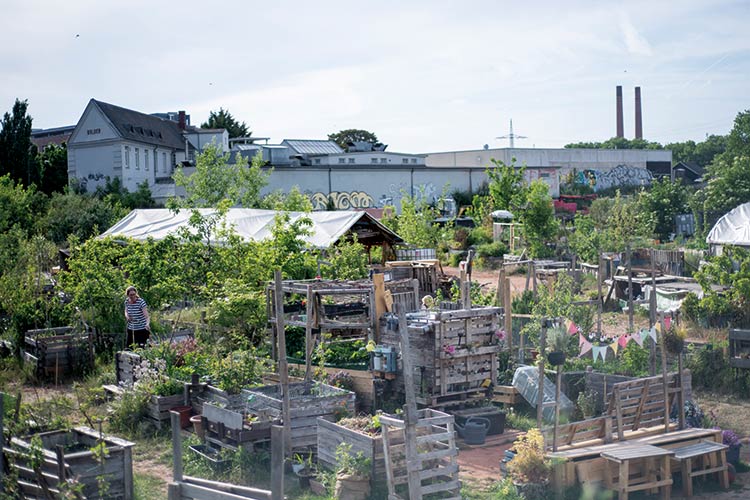 Foto: Jennifer Rumbach / Stadtrevue »Urbaner Naturerlebnisraum« — Pflanzkisten im Neuland