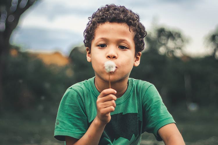 Foto: Pexels Betreuung am Nachmittag? Pusteblume!
