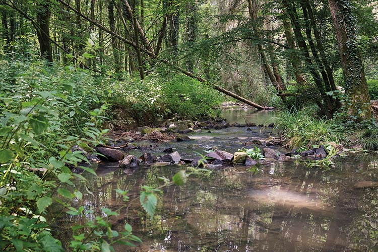 Die Strunde war ein wichtiger Bach für die Kölner Textilindustrie