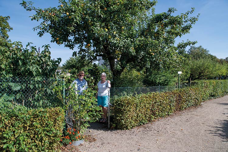Foto: Jennifer Rumbach / Stadtrevue Unruhiger Sommer zwischen Paprika und Kürbissen: Eheleute Waskow in ihrem Kleingarten