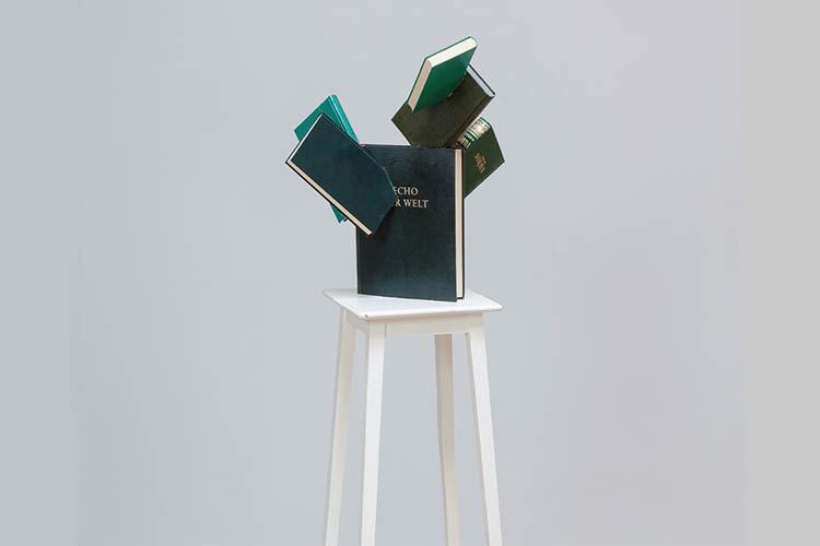 © der Künstler Peter Wüthrich, Cactus Succulentus Literally, 2015, © der Künstler