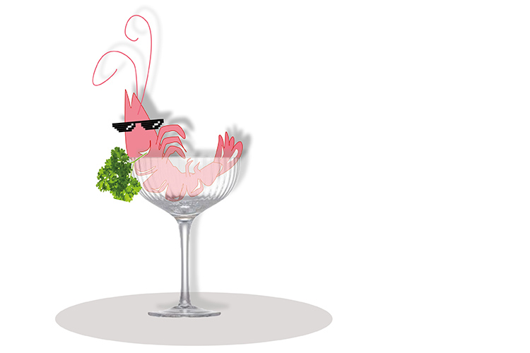 Illustration: Elke Schwirtheim