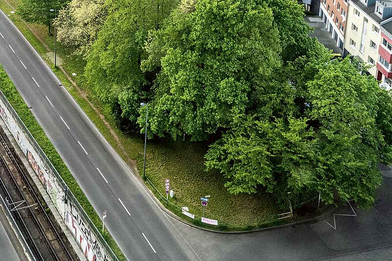 »Unstimmigkeiten« im Suchprozess? Wiese am Perlengraben (Foto: Dörthe Boxberg / Stadtrevue)