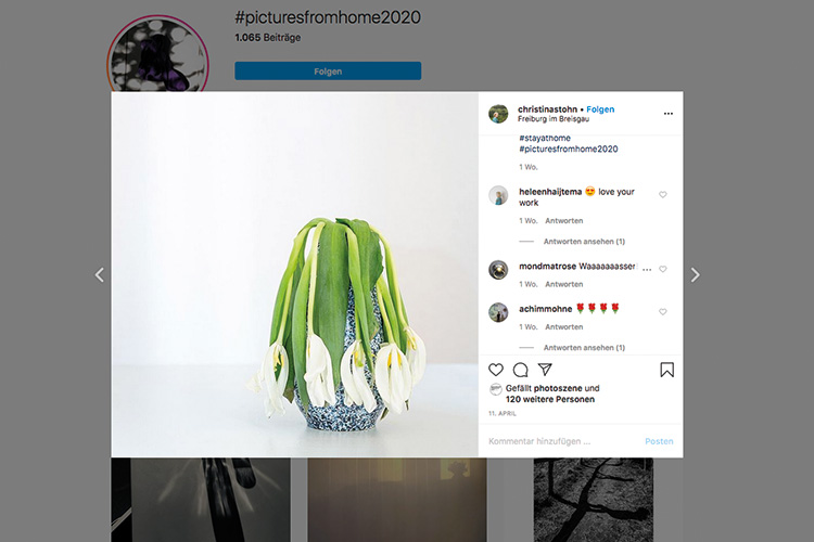 #picturesfromhome2020: Bilder aus der Quarantäne