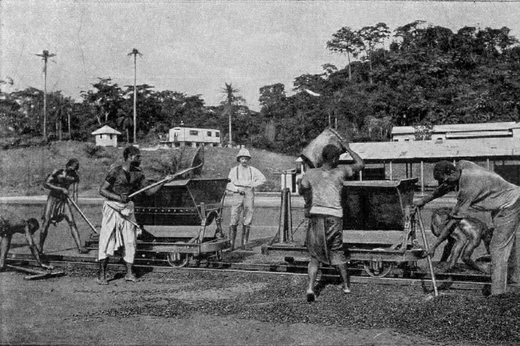 Die koloniale Arbeitsteilung auf der Plantage:  Afrikanische Männer arbeiten, der »weiße Mann« beaufsichtigt. (Foto: Sammlung Marianne Bechhaus-Gerst)