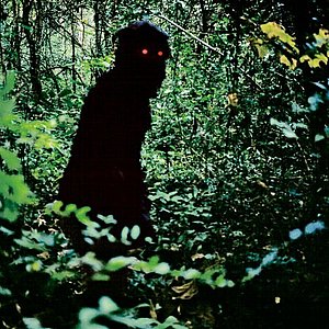 Uncle boonmee who can recall his past lives