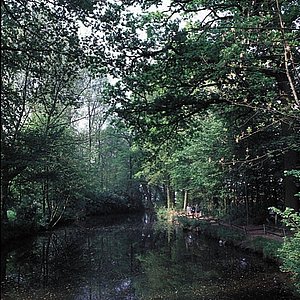 Idylle an der Abraumhalde: Die Sophienhöhe nahe Garzweiler II