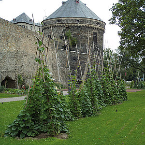 Andernach, Essbare Stadt