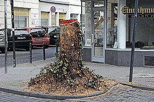 Kürzungen überall: Bäume an der Venloer Straße  müssen neuem Verkehrskonzept weichen