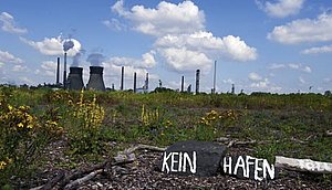 Gericht stoppt Kahlschlag in der Sürther Aue:  bislang abgesperrtes Gelände am Godorfer Hafen