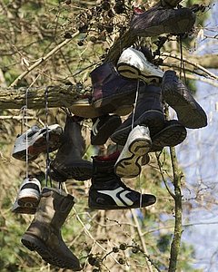 Kunst am Baum: »Shoefiti« im Volksgarten