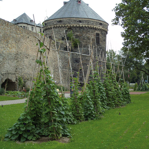 Andernach Andernach, Essbare Stadt