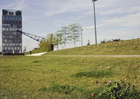 Bald Krawall und Remmi Demmi? 2010 soll im Rheinauhafen der neue Skatepark entstehen