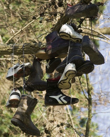Kunst am Baum: »Shoefiti« im Volksgarten
