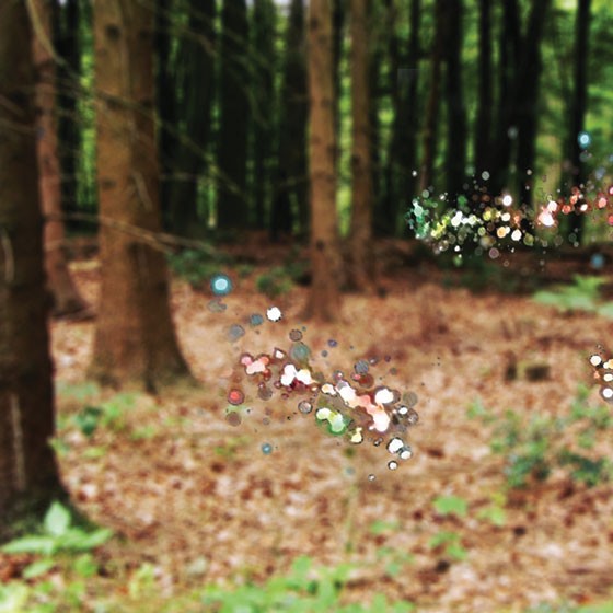 im wald im wald
